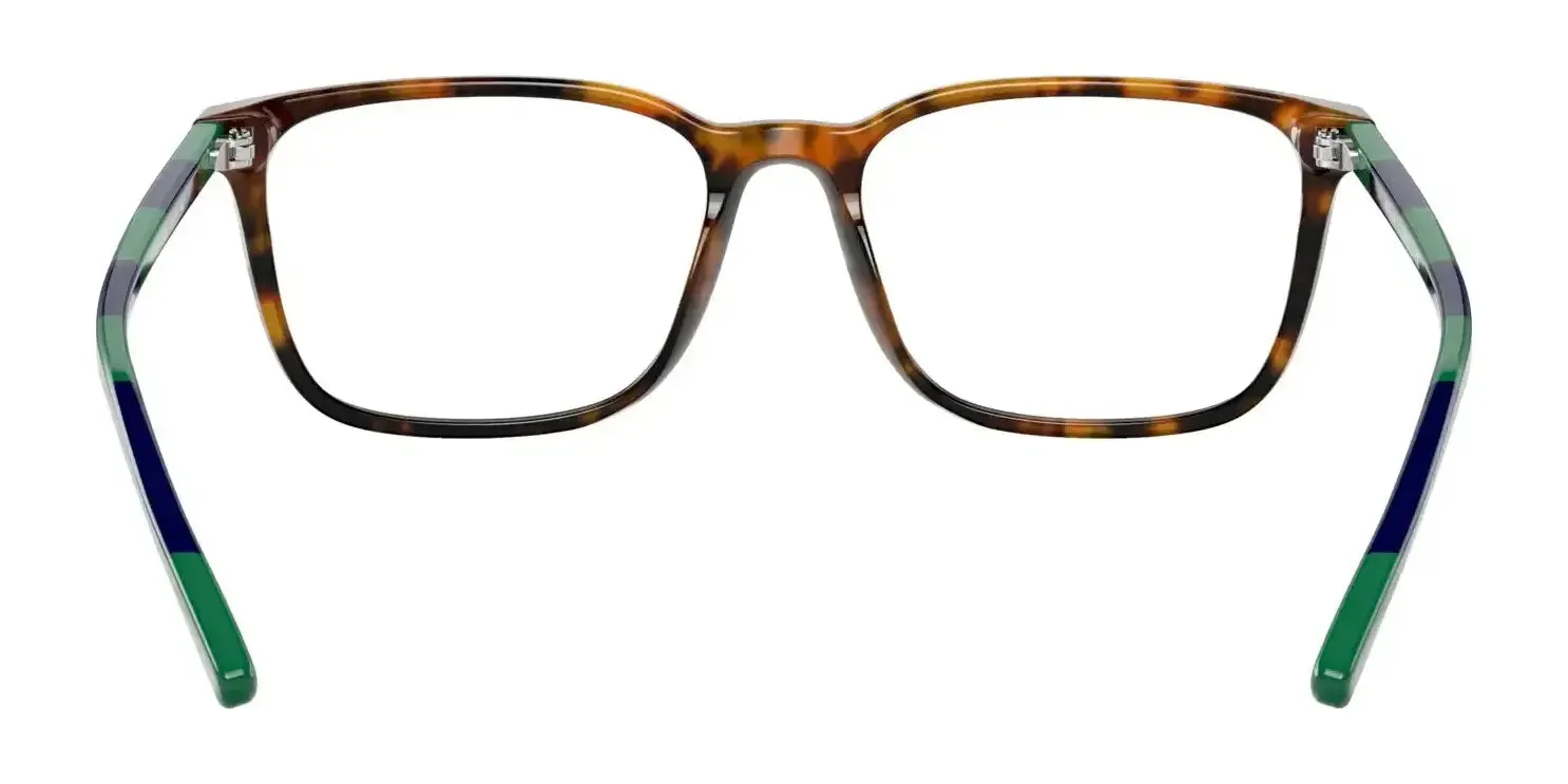 Polo PH2234 Eyeglasses | Size 54